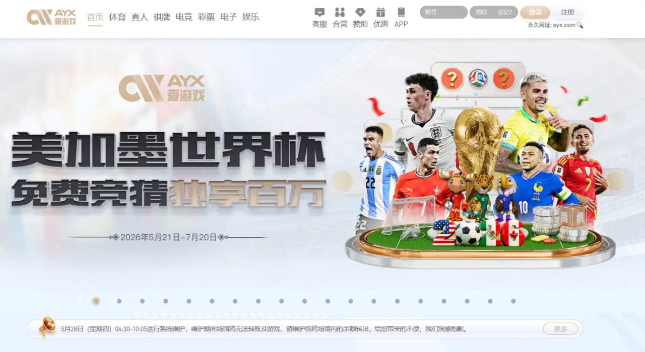 提升注册效率的实用技巧
